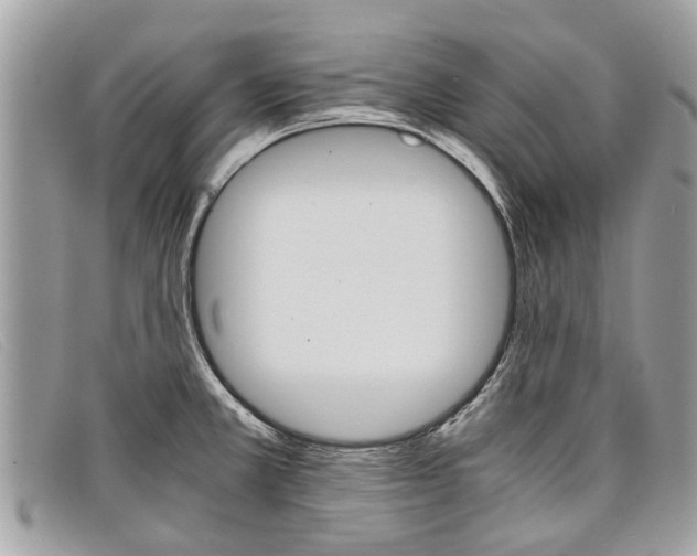 X0000098041381200804111335