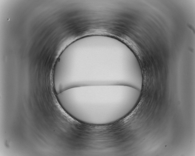 X0000098041382200804111335