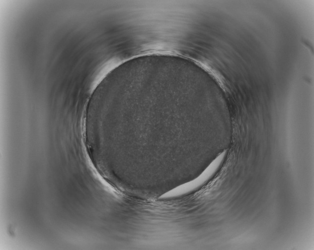 X0000098041383200804111335