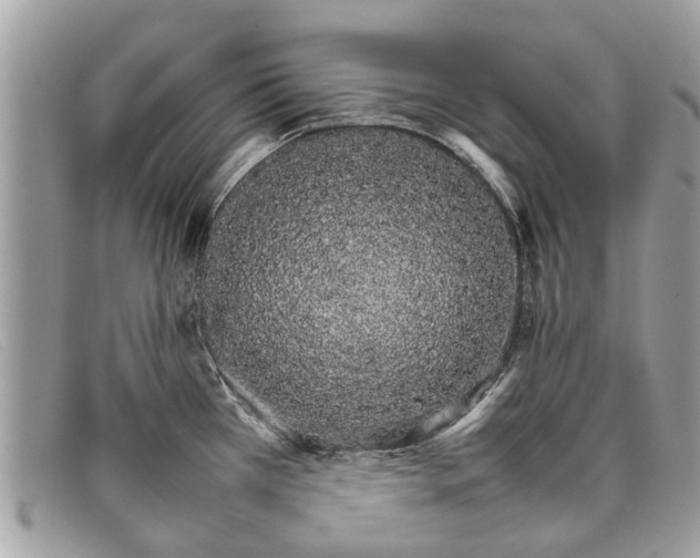 X0000098041385200804111335