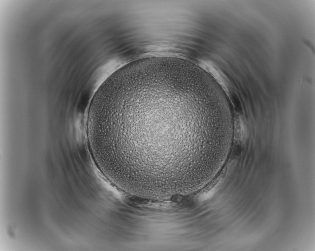 X0000098041386200804111335