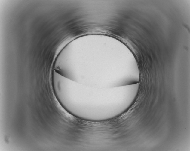 X0000098041387200804111335