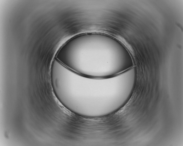 X0000098041388200804111335