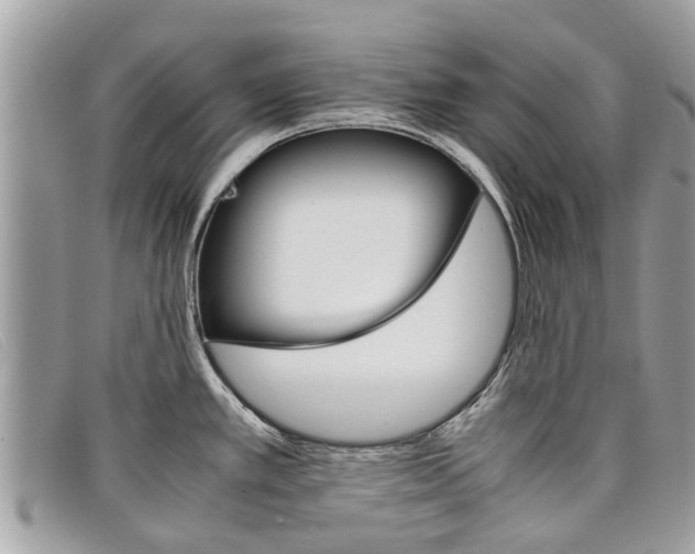 X0000098041389200804111335