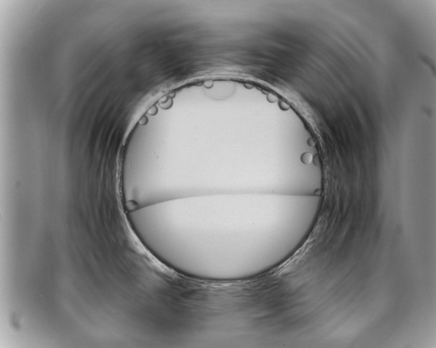 X0000098041390200804111335