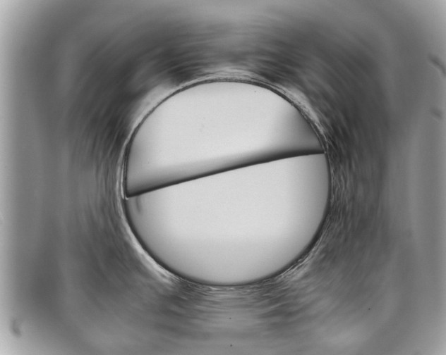 X0000098041391200804111335