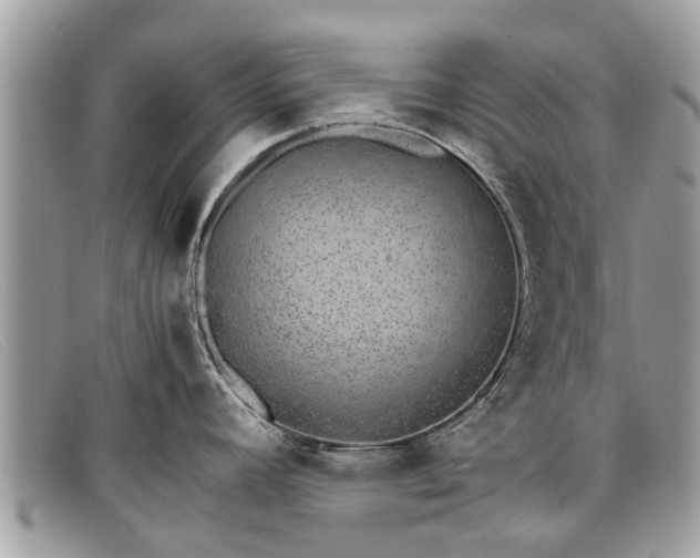 X0000098041392200804111335