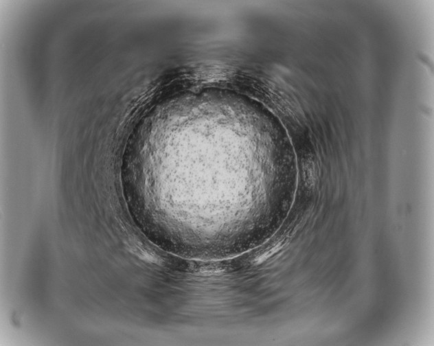 X0000098041393200804111334