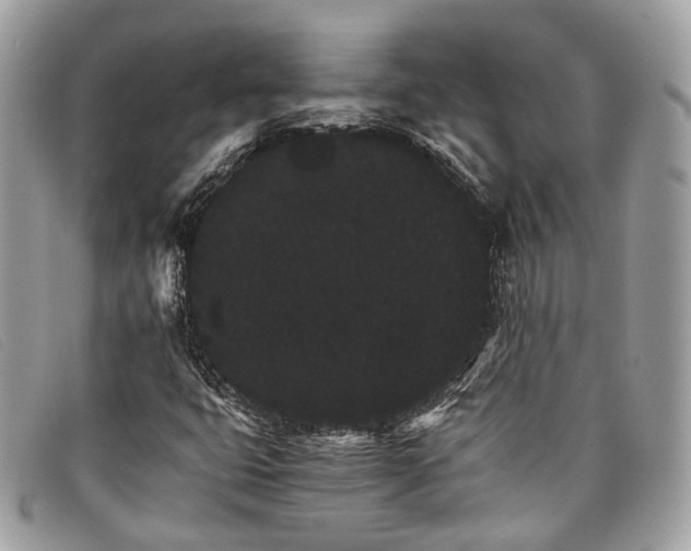 X0000098041399200804111335
