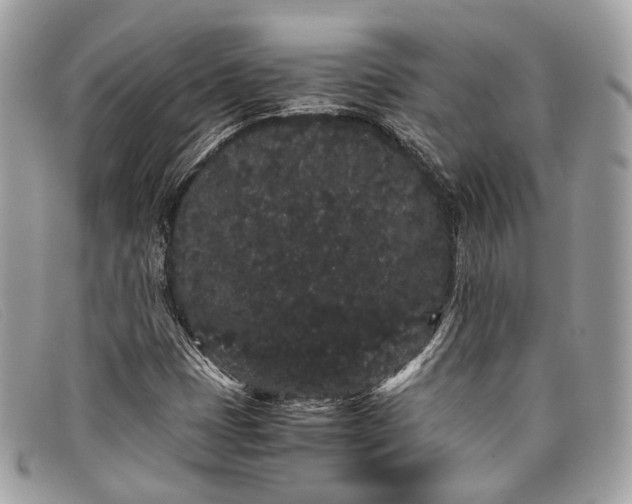 X0000098041401200804111335