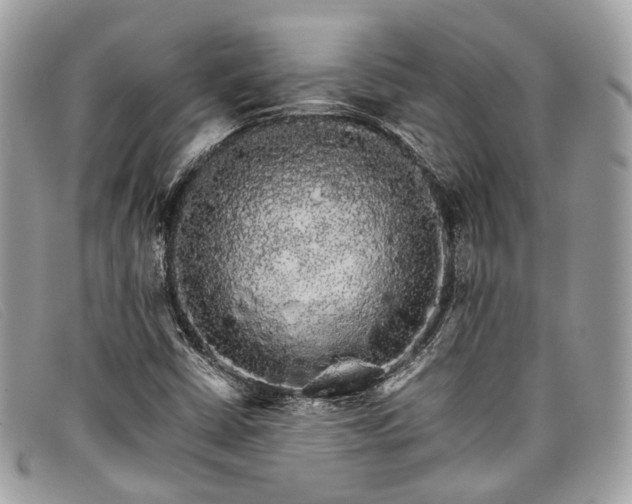 X0000098041402200804111335