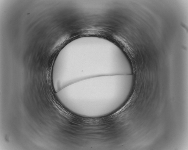 X0000098041403200804111335