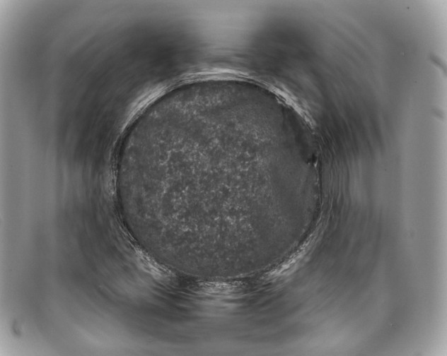 X0000098041405200804111335