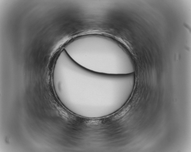 X0000098041406200804111335