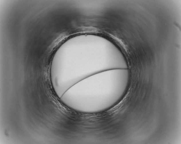 X0000098041407200804111335
