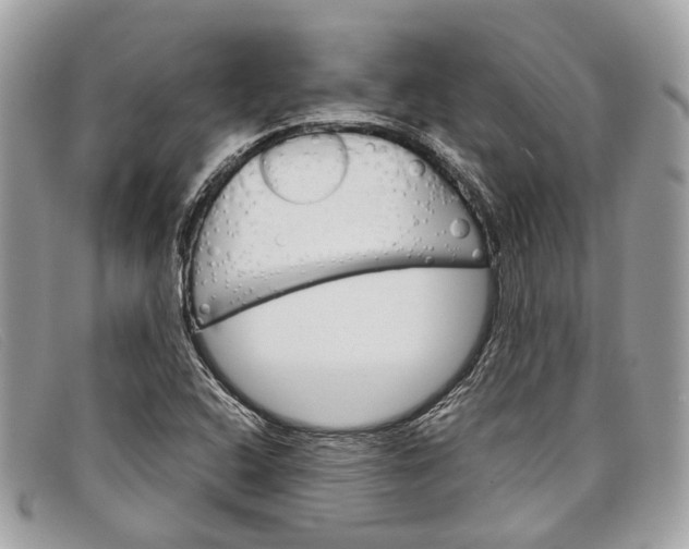 X0000098041408200804111335