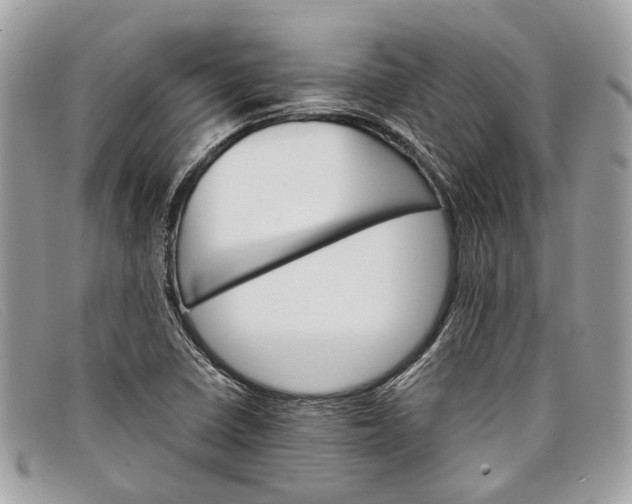 X0000098041410200804111335