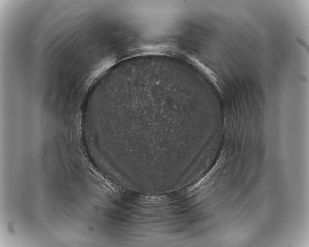 X0000098041411200804111335