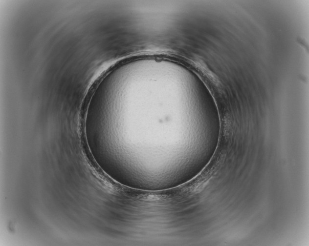 X0000098041412200804111335