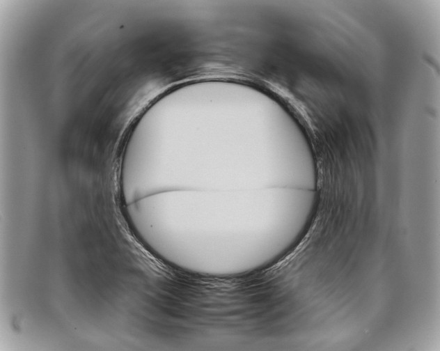 X0000098041415200804111335