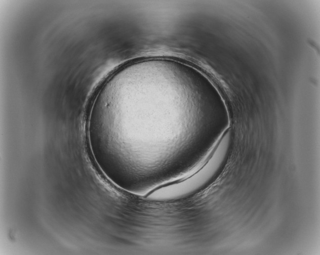 X0000098041416200804111335