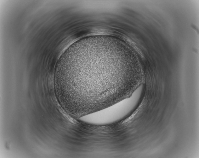 X0000098041417200804111335