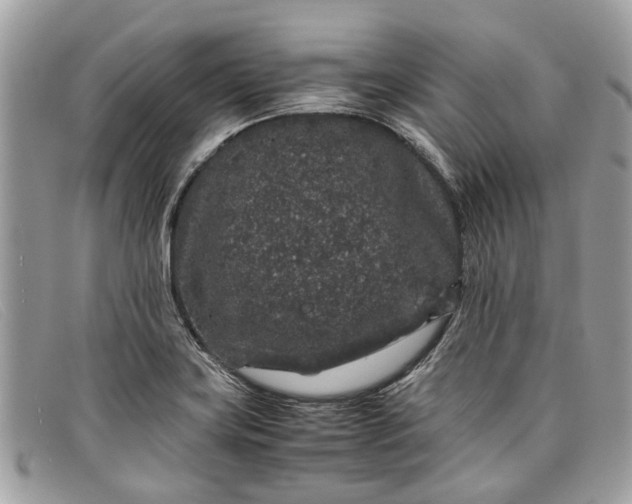 X0000098041419200804111335