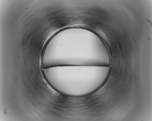 X0000098041420200804111335