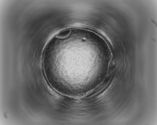 X0000098041421200804111335