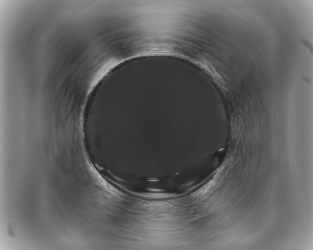 X0000098041422200804111335