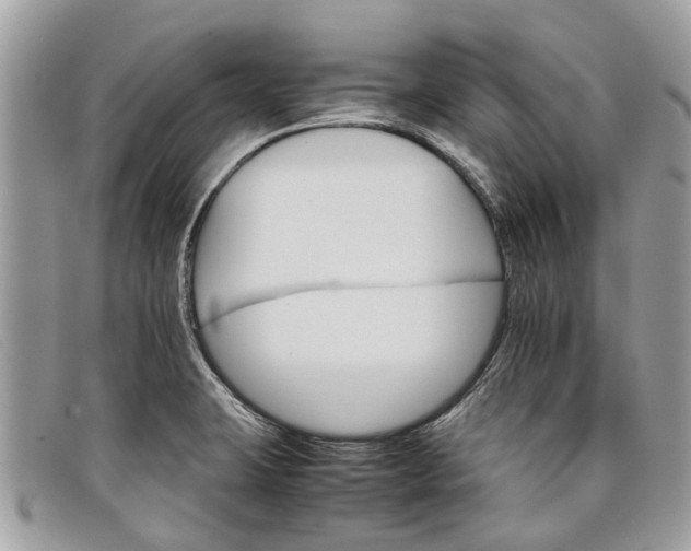 X0000098041423200804111335