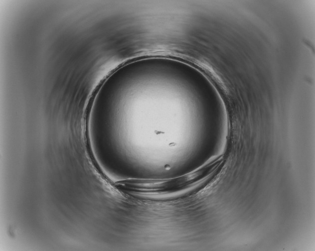 X0000098041424200804111335
