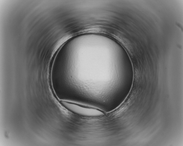 X0000098041426200804111335