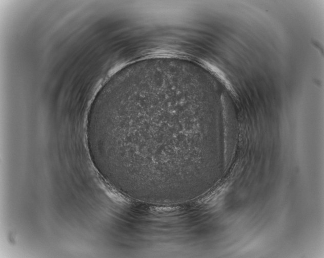 X0000098041427200804111335