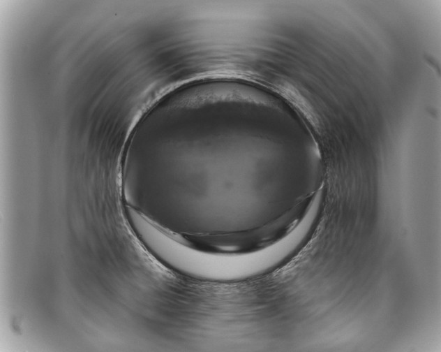 X0000098041428200804111335