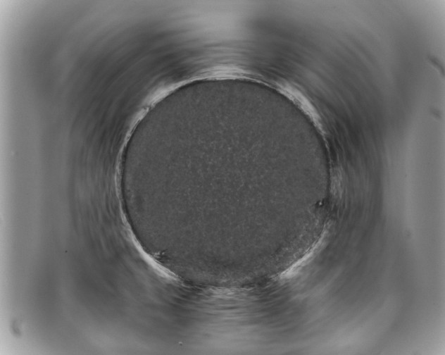 X0000098041429200804111335