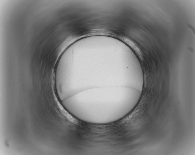 X0000098041431200804111335