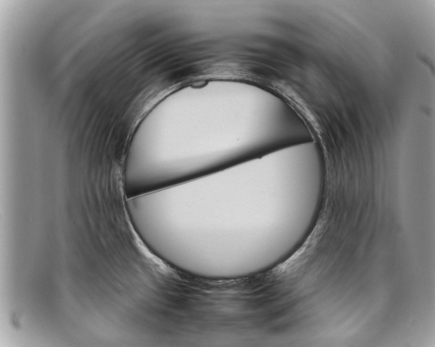 X0000098041433200804111335