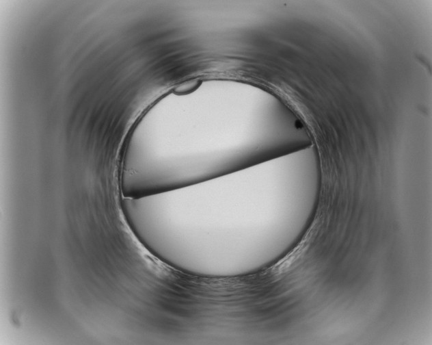 X0000098041434200804111335