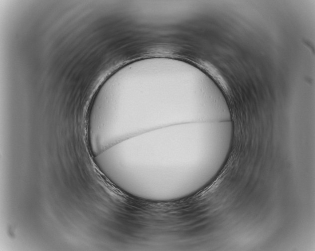X0000098041435200804111335