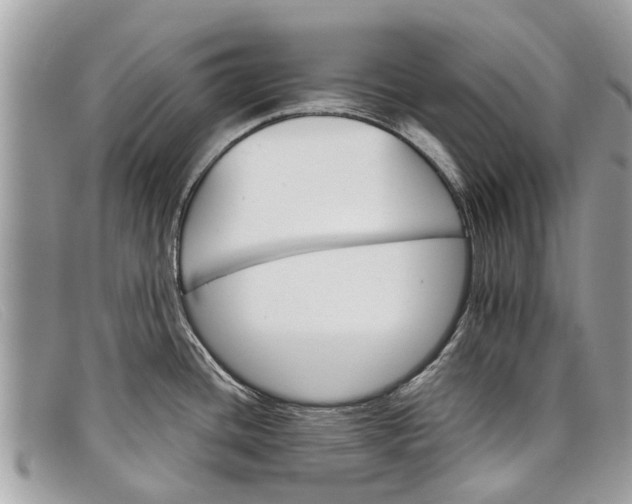 X0000098041436200804111335