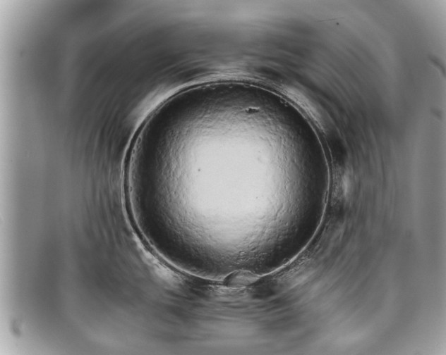 X0000098041439200804111335