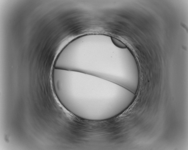 X0000098041440200804111335