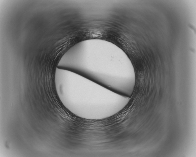 X0000098041442200804111334