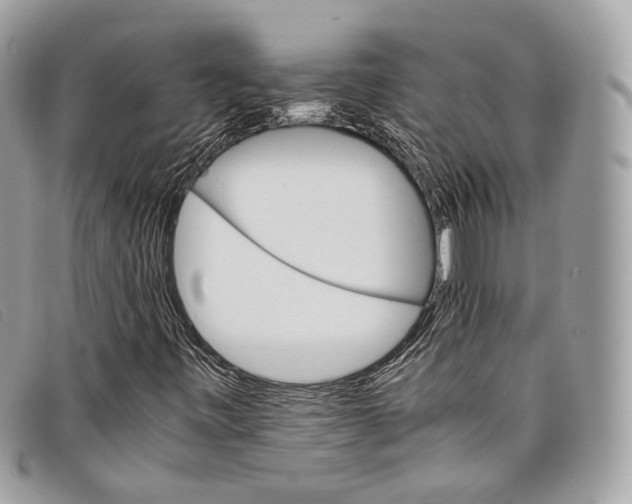 X0000098041443200804111334
