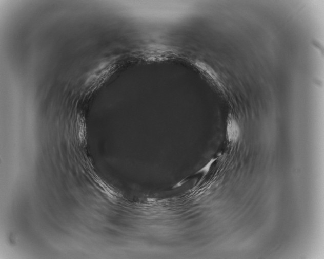 X0000098041444200804111334