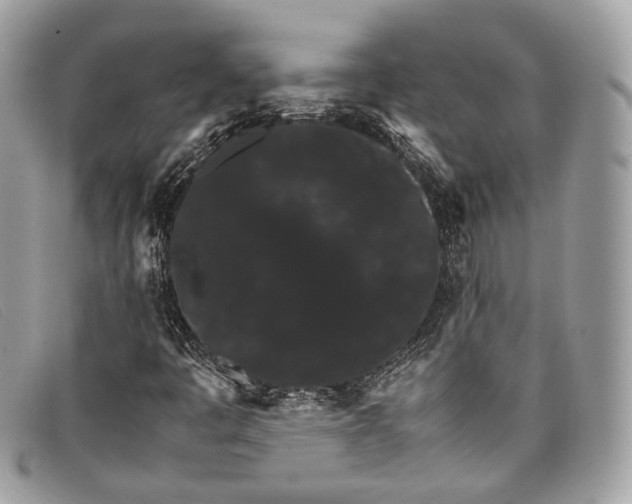 X0000098041445200804111334