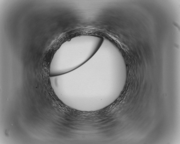 X0000098041447200804111334