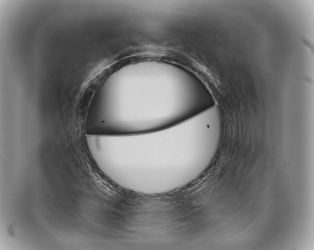 X0000098041448200804111334
