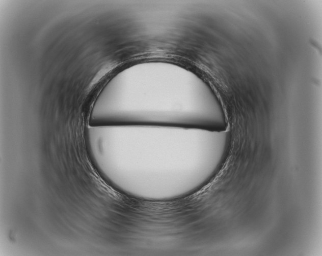 X0000098041450200804111334
